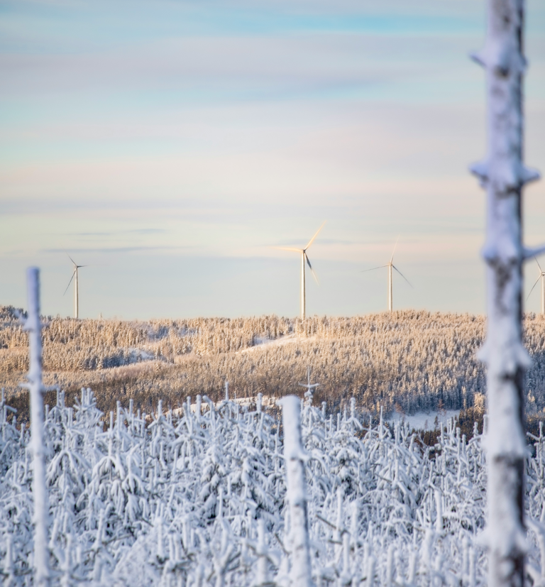 Vinterlandskap med vindkraftverk