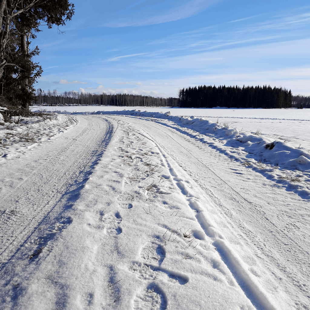 En väg i ett snöigt landskap.